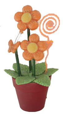 Arranjo para decoração